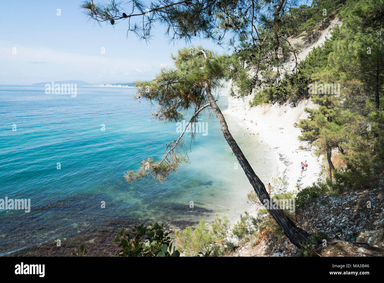 Blue Abyss Wild Beach