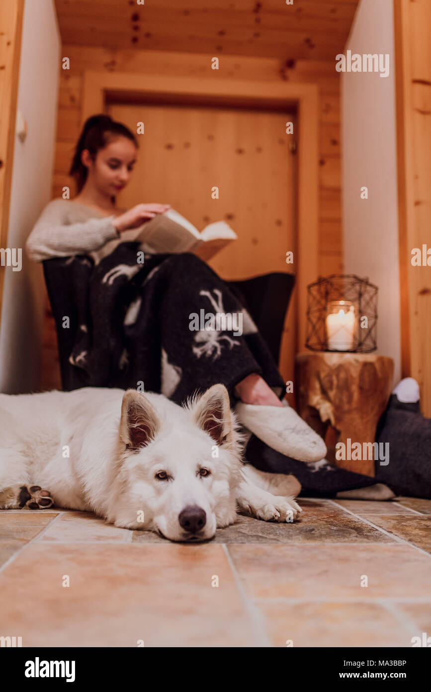 young woman wrapped in a blanket,reading a book,shepherd dog is lying next to her Stock Photo
