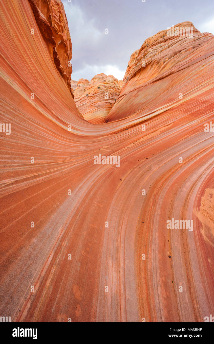 The Wave, Coyote Buttes North, Colorado Plateau, Arizona, USA Stock