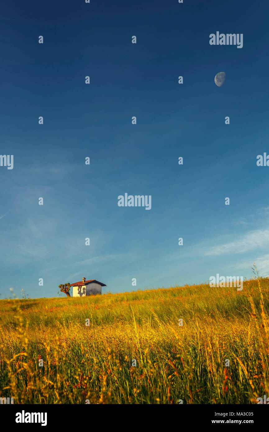 Awakening of fields, Como province, Lombardy, Italy, Europe Stock Photo