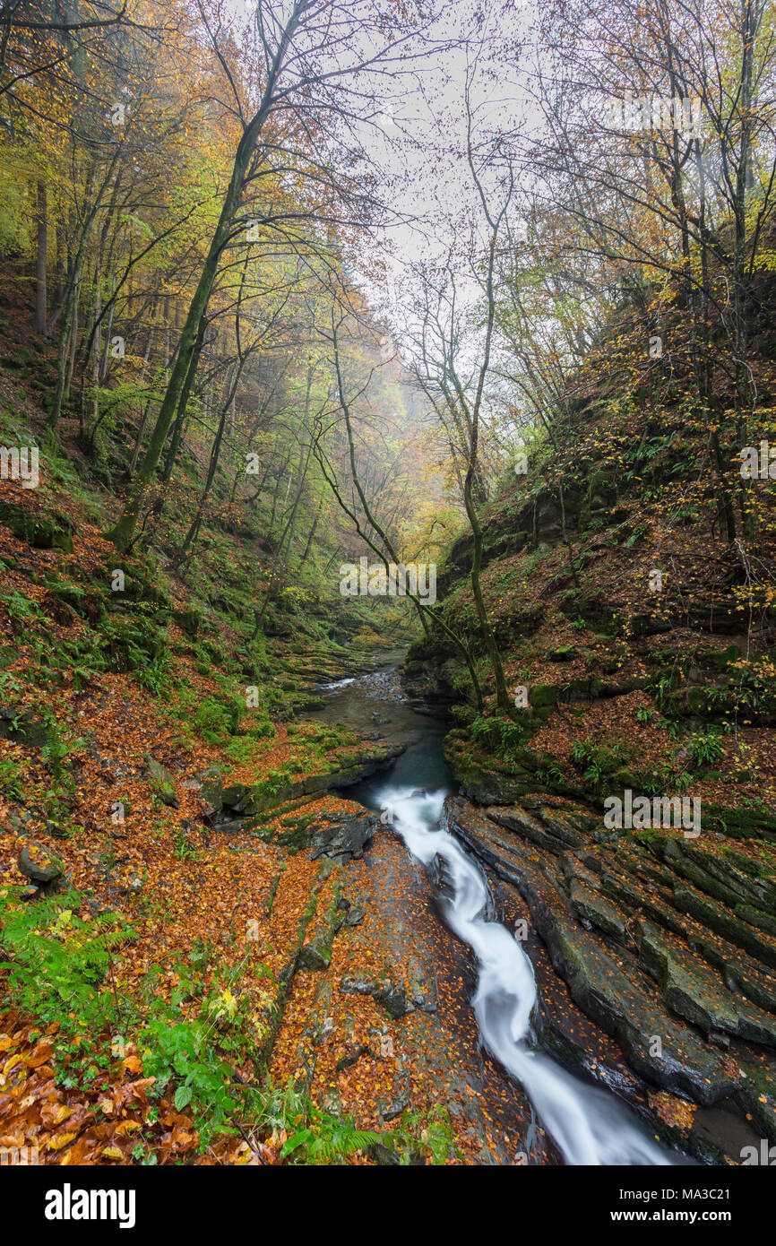 Autumn at a waterfall of the river Breggia, near the Bruzella mill, Muggio Valley, Mendrisio District, Canton Ticino, Switzerland. Stock Photo