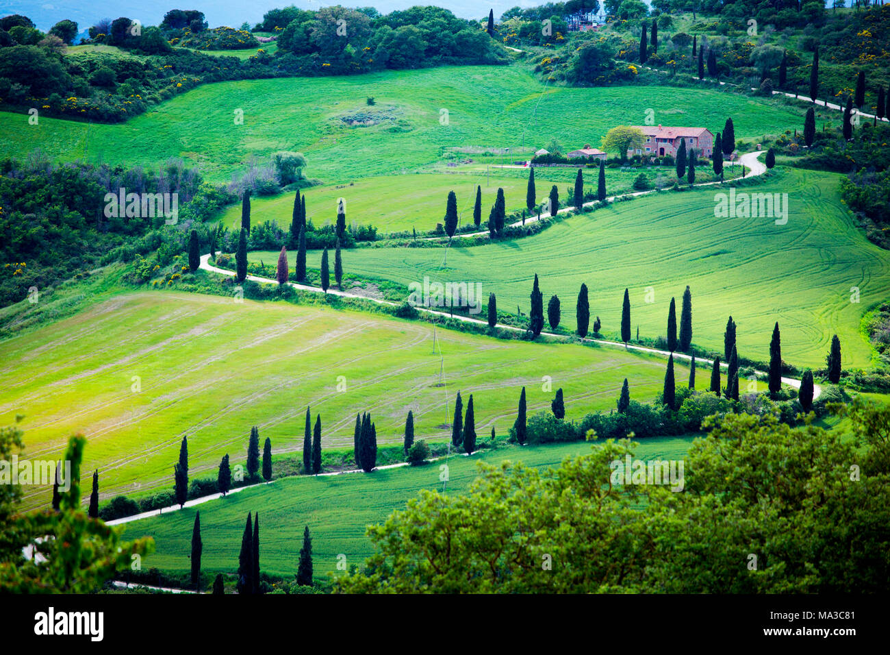 Tuscany, Italy. Val d'Orcia landscape in springtime Stock Photo