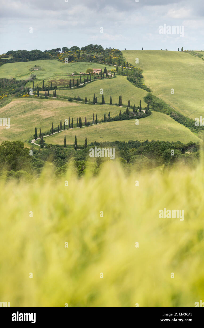 Tuscany, provence of Siena, La Foce at Tuscany hills, Italy Stock Photo