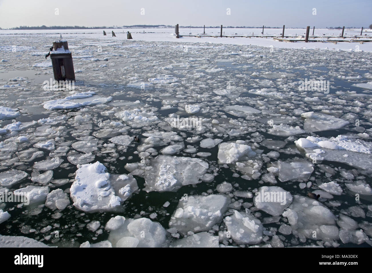 Ice floes on the Baltic Sea, Burgstaaken, castle, island Fehmarn, Schleswig - Holstein, North Germany, Germany, Stock Photo