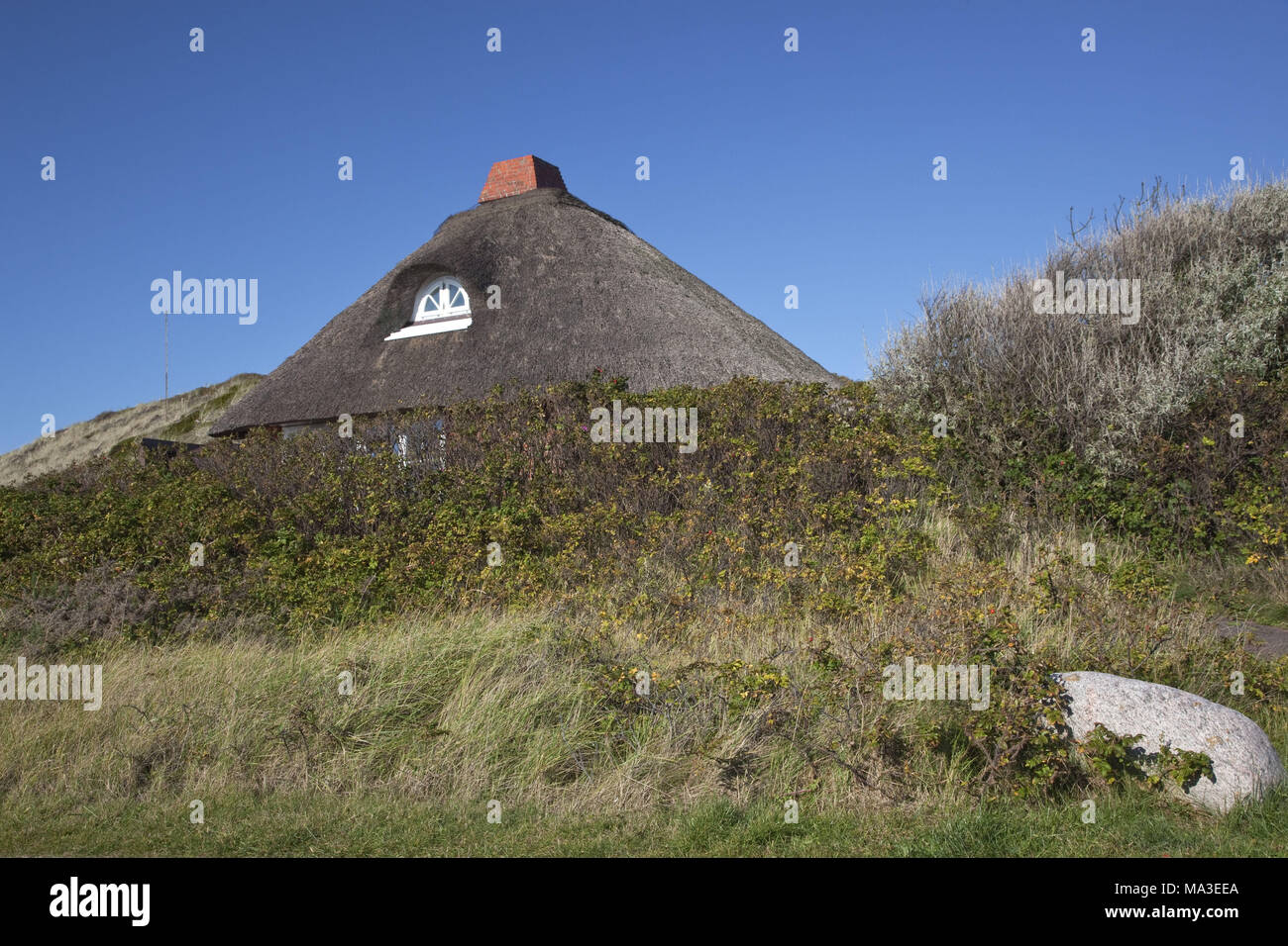 Thatched-roof house in Hörnum, island Sylt, Schleswig - Holstein, Germany, Stock Photo