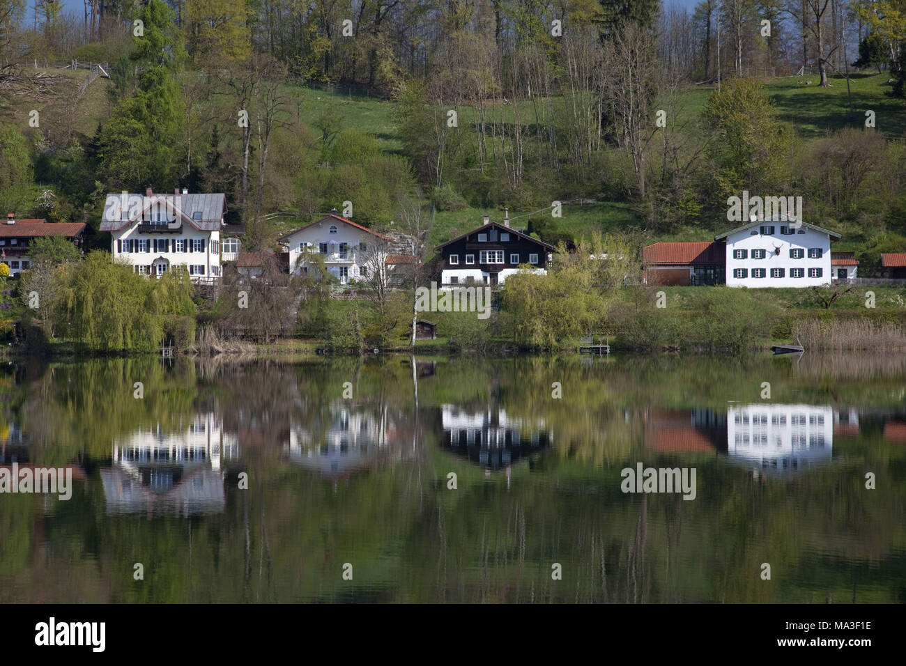 Seeon in the abbey lake, Seeon-Seebruck, Chiemgau, Upper Bavaria, Bavaria, South Germany, Germany, Stock Photo