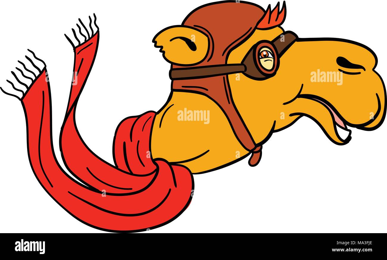 Cartoon style illustration of head of a pilot camel wearing scarf, vintage aviator helmet hat and goggles smiling viewed from side on isolated . Stock Vector