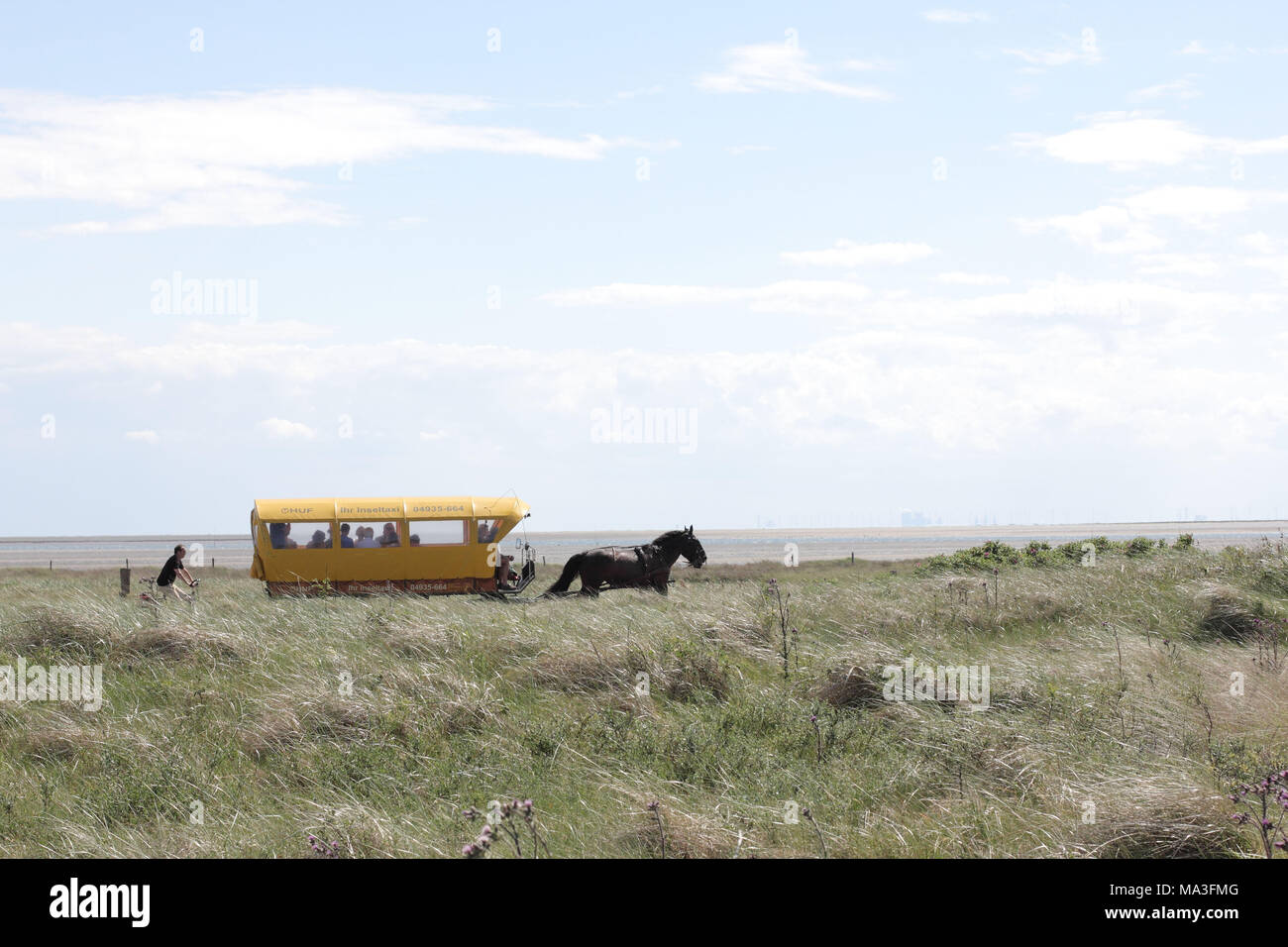 Horse-drawn carriage transporting tourists on the island of Juist Stock Photo