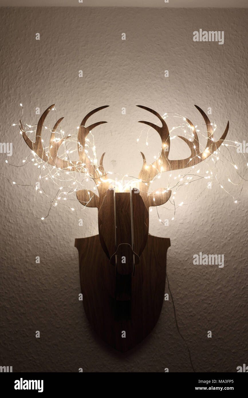 Flat antlers hires stock photography and images Alamy