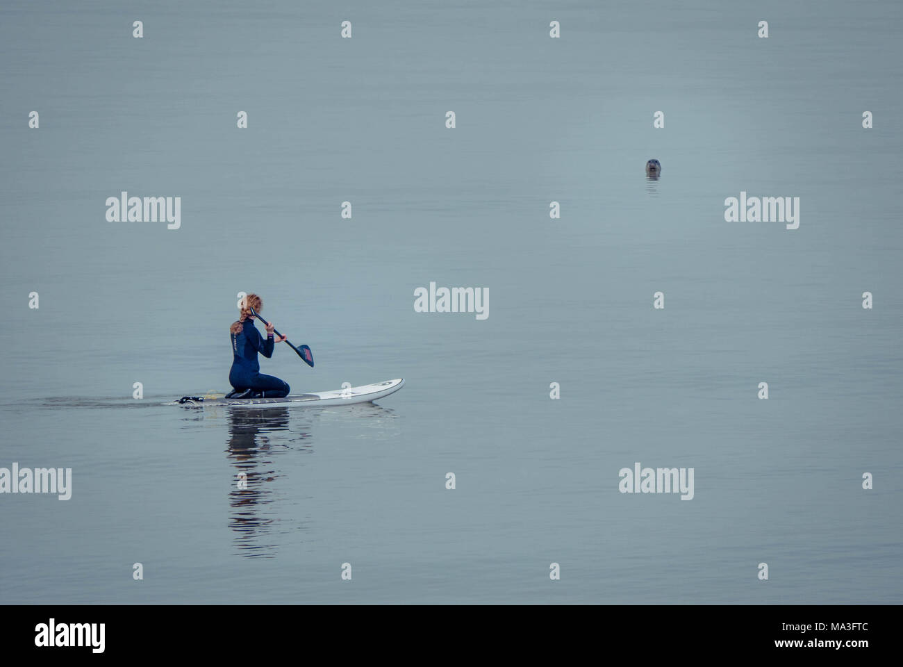 Girl seal hi-res stock photography and images - Alamy