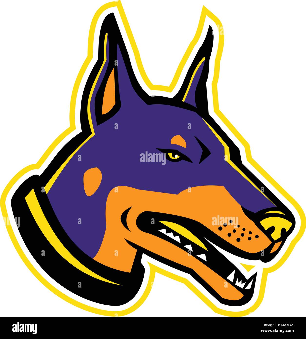 Mascot icon illustration of head of a Dobermann or Doberman Pinscher, a medium-large breed of domestic dog originally developed as guard dog on . Stock Vector
