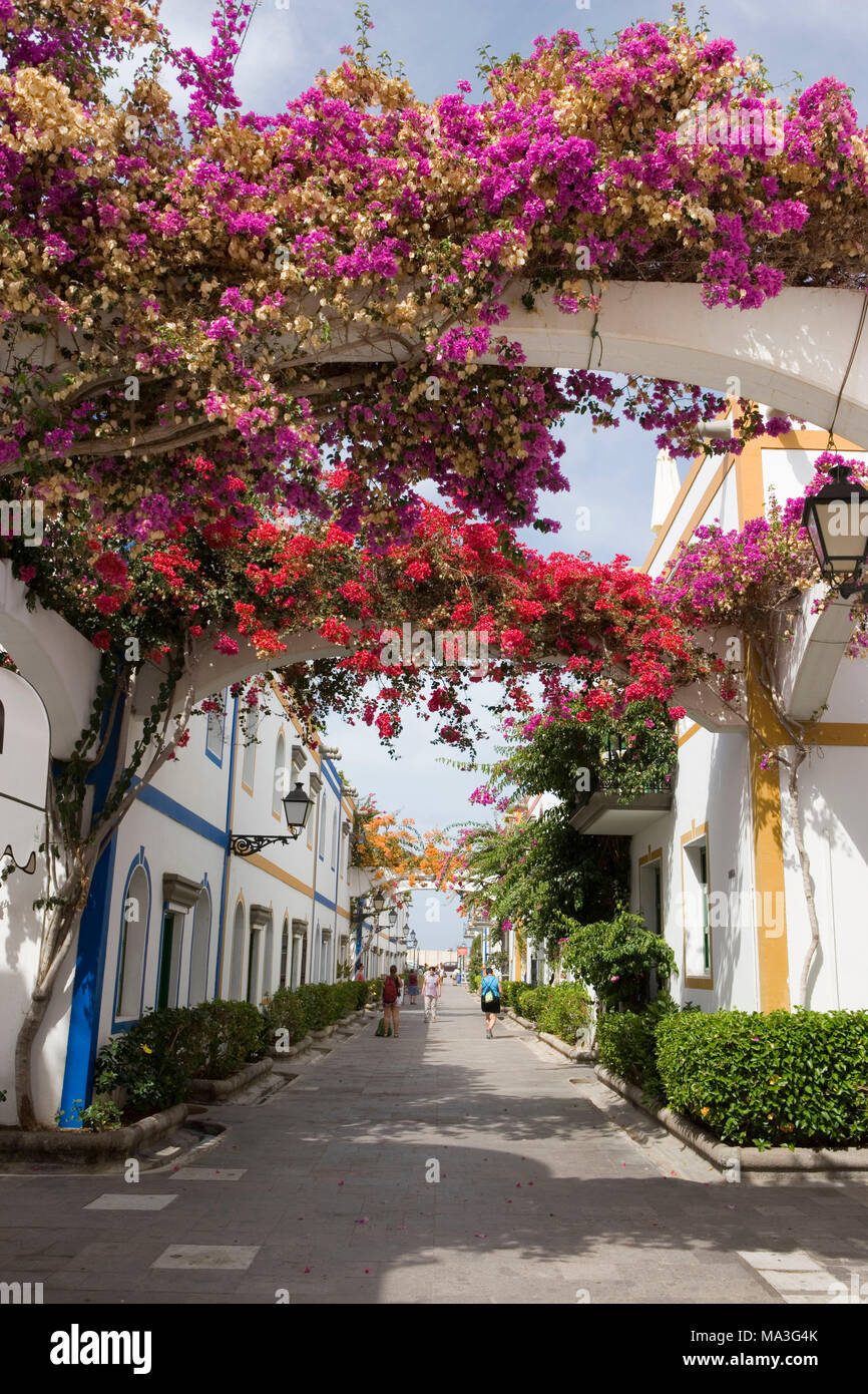 Puerto de Mogan, small harbour town in the extreme southwest of the island, one of the nicest places, also because of the lush bougainvillaeas decorating the lanes of the Old Town Stock Photo