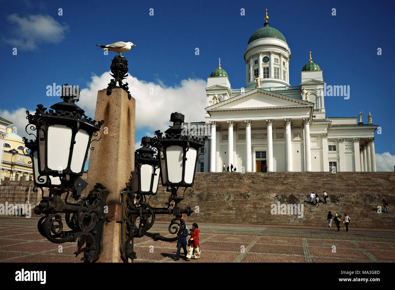Gull and Evangelical Lutheran cathedral in Helsinki, Finland Stock Photo