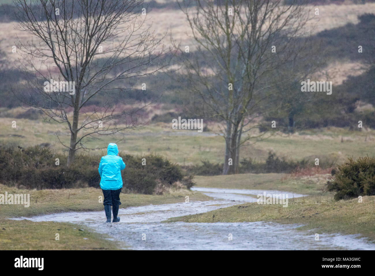 North Wales, UK 29th March 2018, UK Weather: As the Bank Holiday weekend begins and people head away for a long weekend so does the typical bank holiday weather with heavy rain in North Wales and the chance of heavy snow on Bank Holiday Monday. A person walkign in the heavy rain in the village of Rhes-y-Cae dressed for the Bank Holiday rainy weather © DGDImages/Alamy Live News Stock Photo