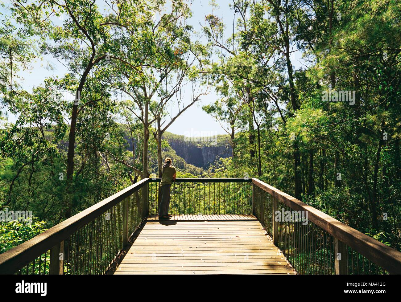 A viewing point over Minyon Falls (Australia) Stock Photo
