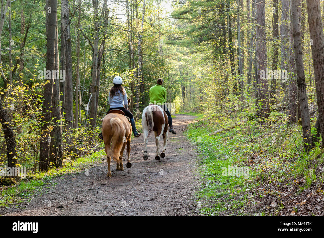 Riding horses canada hires stock photography and images Alamy