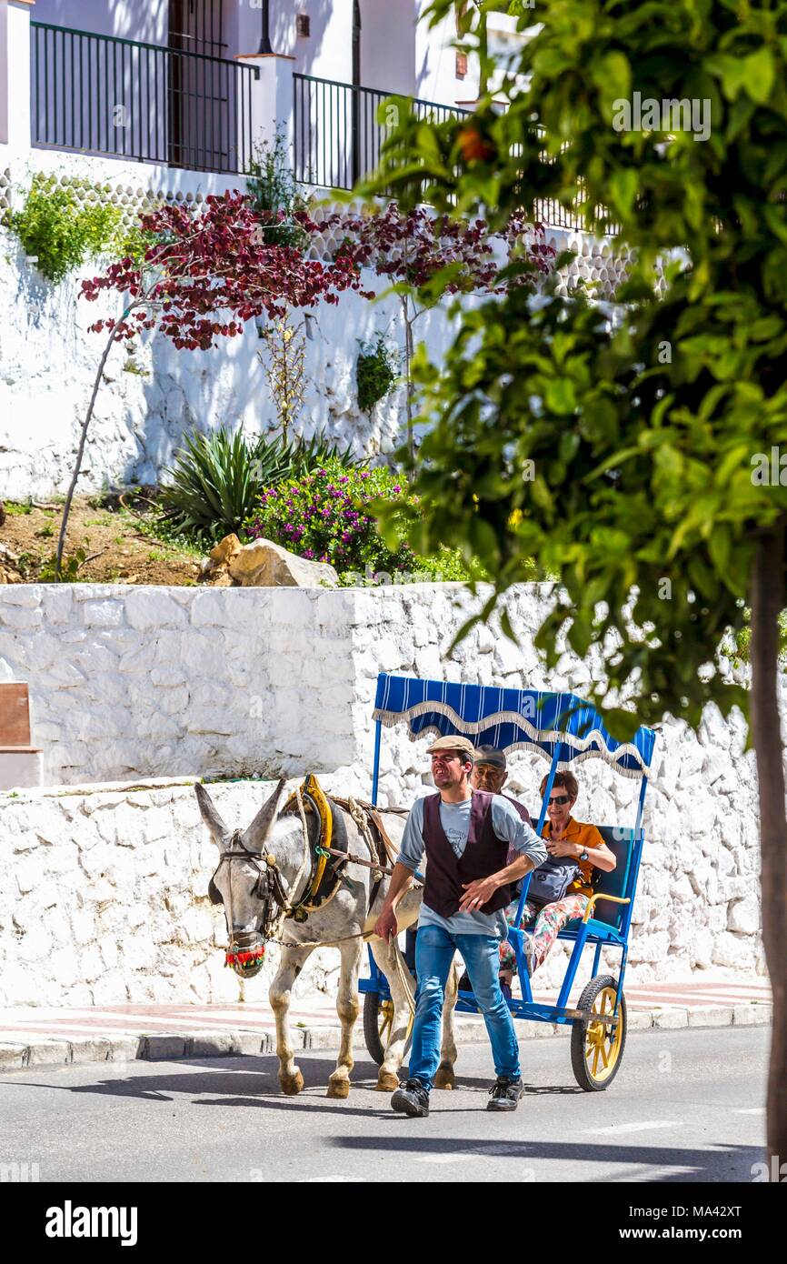 A rickshaw being pulled by a donkey in Mijas Pueblo, Andalusia, Spain ...