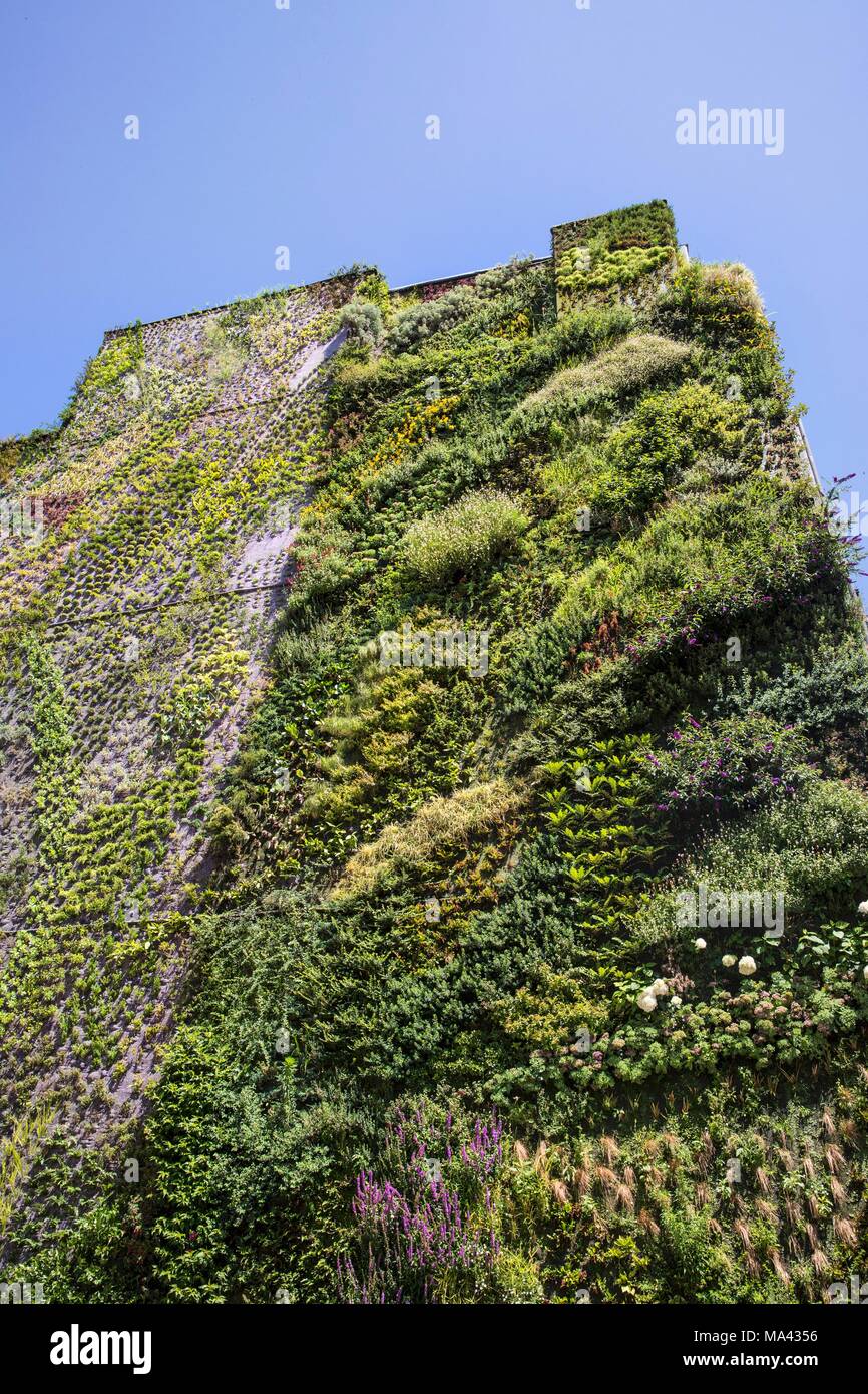 Vertical garden on the façade of the Caixa Forum in Madrid, Spain Stock Photo