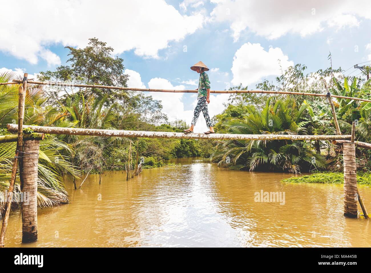 A 'monkey bridge' made of bamboo across the Mekong Delta in Vietnam Stock Photo