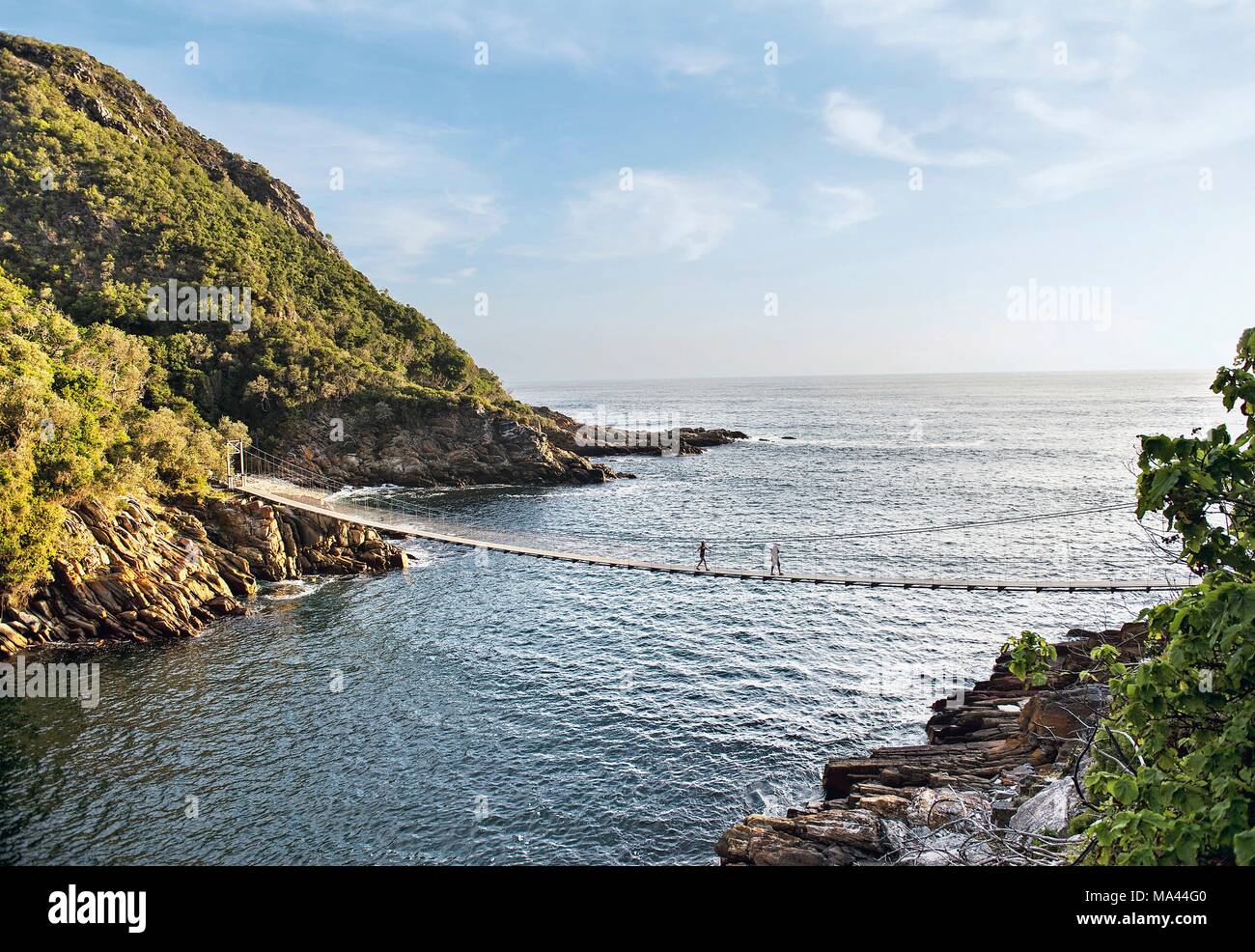 Suspension bridge over the Storms River in the Tsitsikamma National
