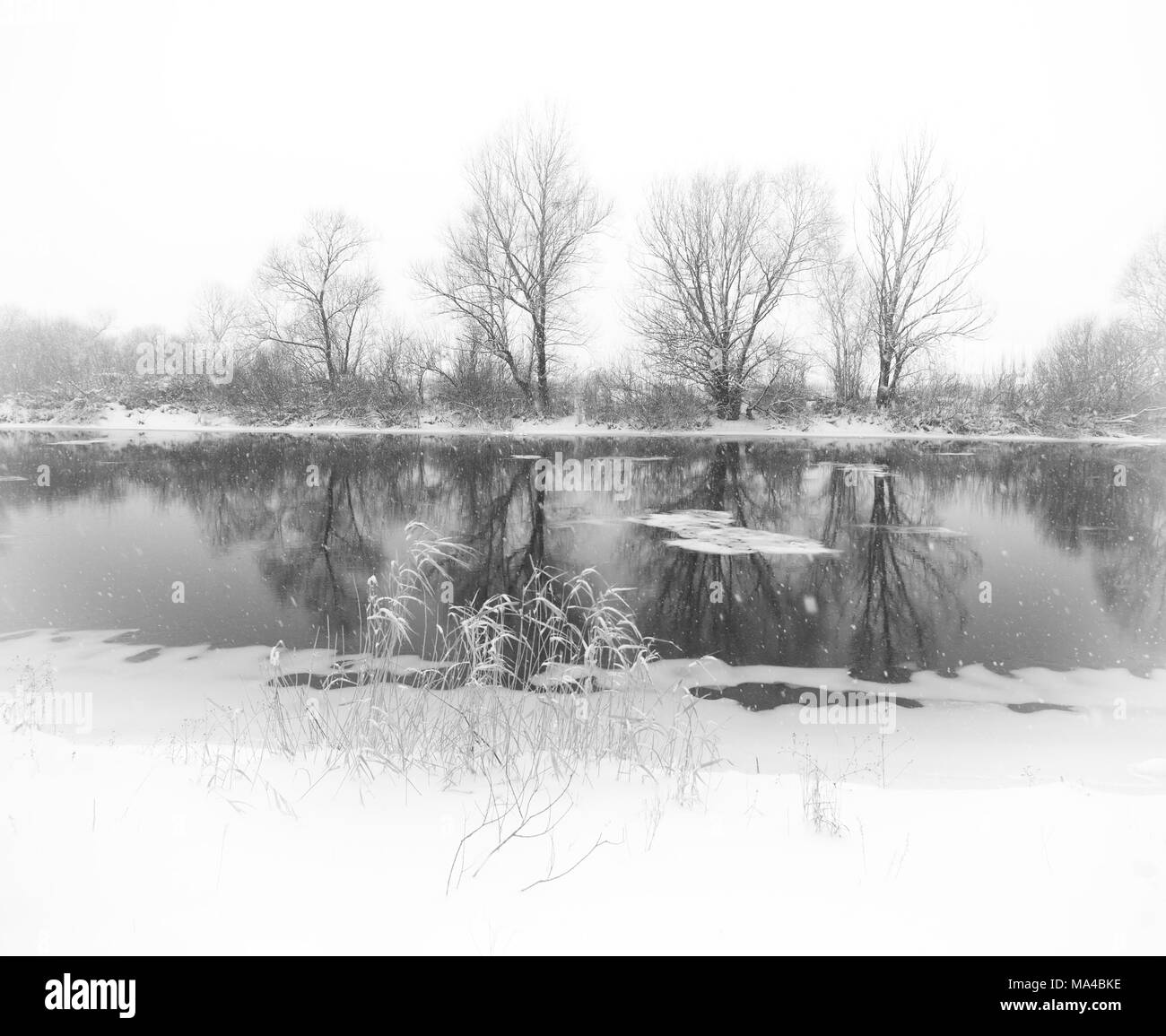 winter river during a heavy snowfall Stock Photo