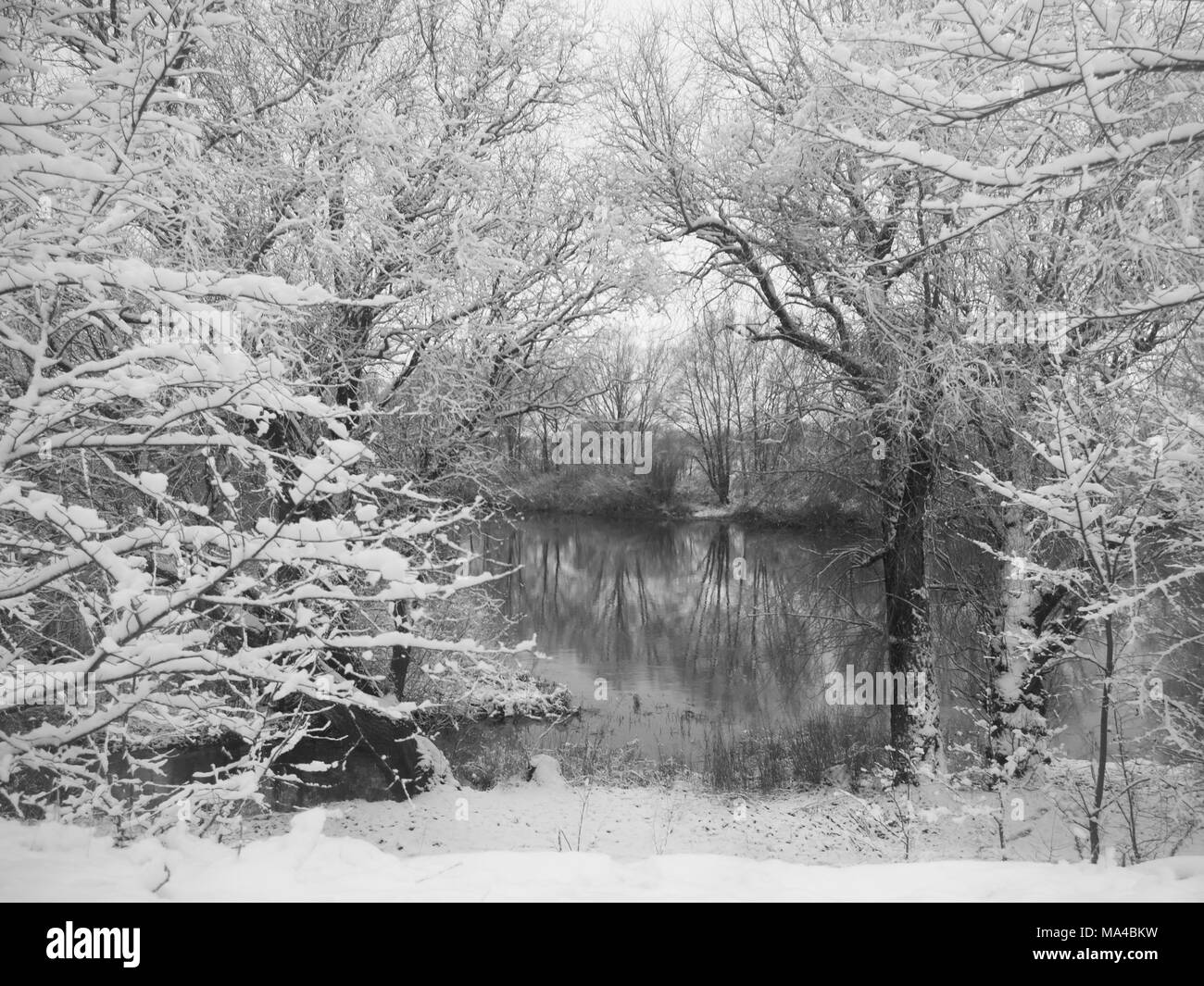 winter landscape from snowy river Stock Photo