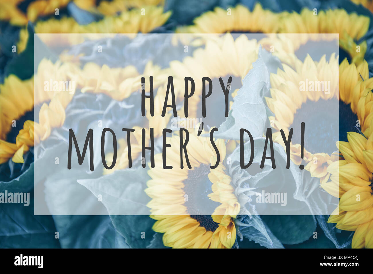 Happy mothers day text on blurred flowers background Stock Photo - Alamy