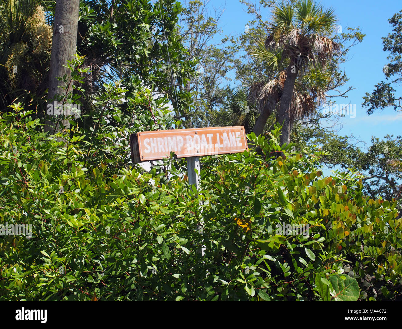 Shrimp Boat Lane Street Sign, San Carlos Island, Fort Myers, FL © Katharine Andriotis Stock Photo