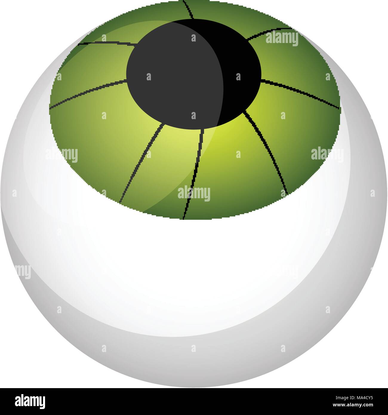 Isolated beach ball icon Stock Vector Image & Art - Alamy