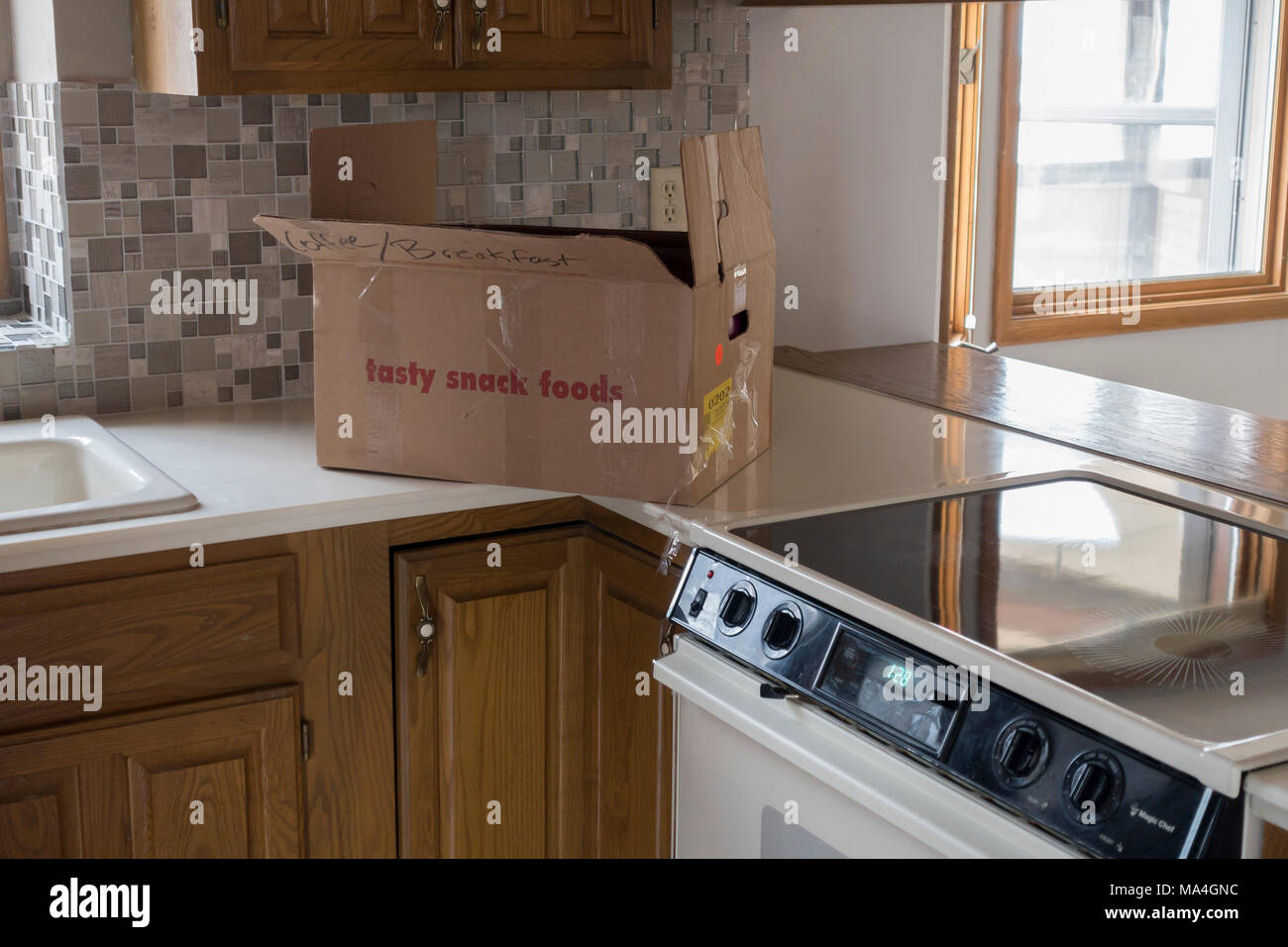 An emergency supply of kitchen supplies sit on a kitchen countertop on moving in day in Wichita, Kansas, USA. Stock Photo