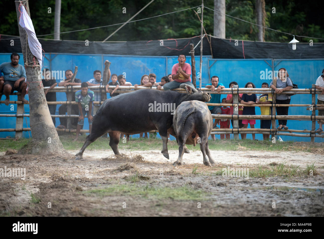 Barbarous hi-res stock photography and images - Alamy
