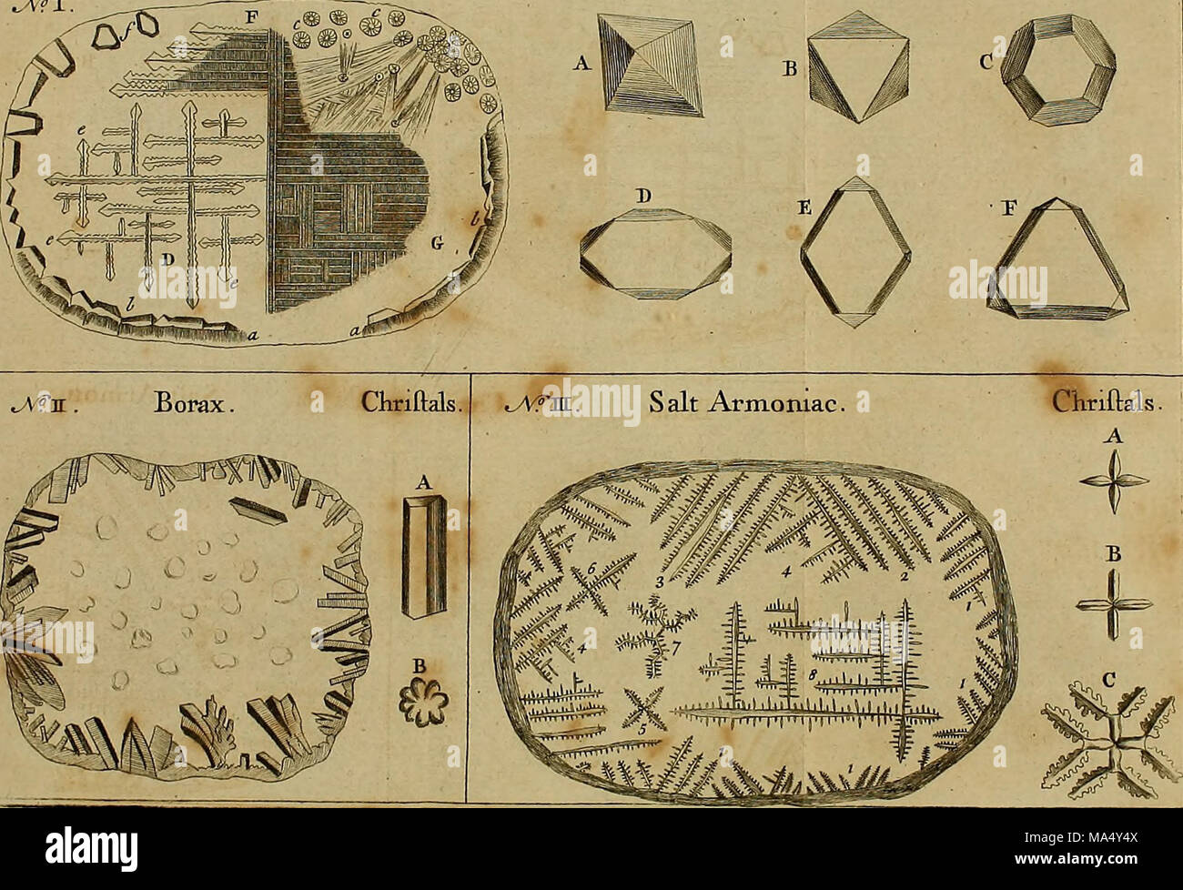 . Employment for the microscope in two parts Stock Photo Alamy