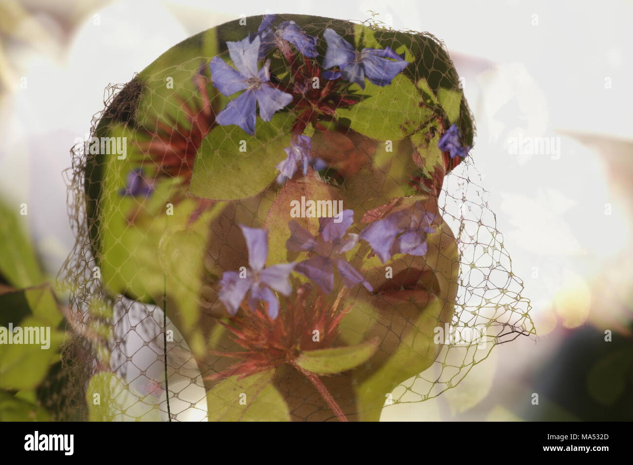 Face tree double exposure hi-res stock photography and images - Alamy