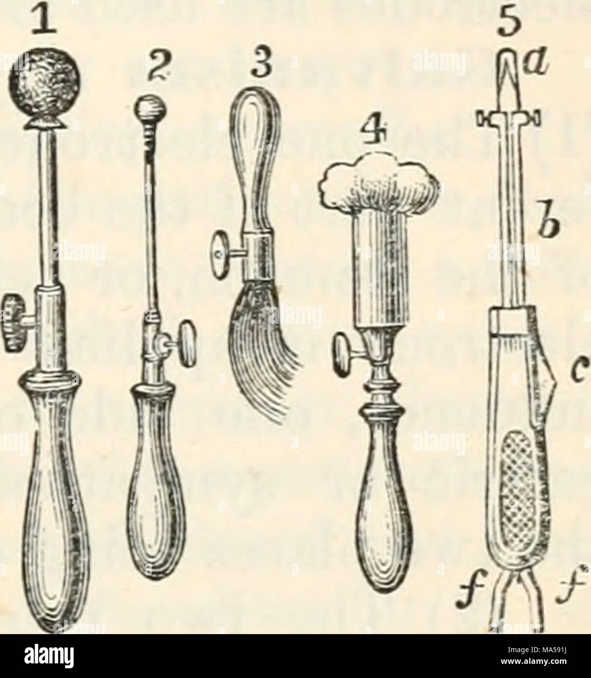 . The elements of physiological physics: an outline of the elementary ...