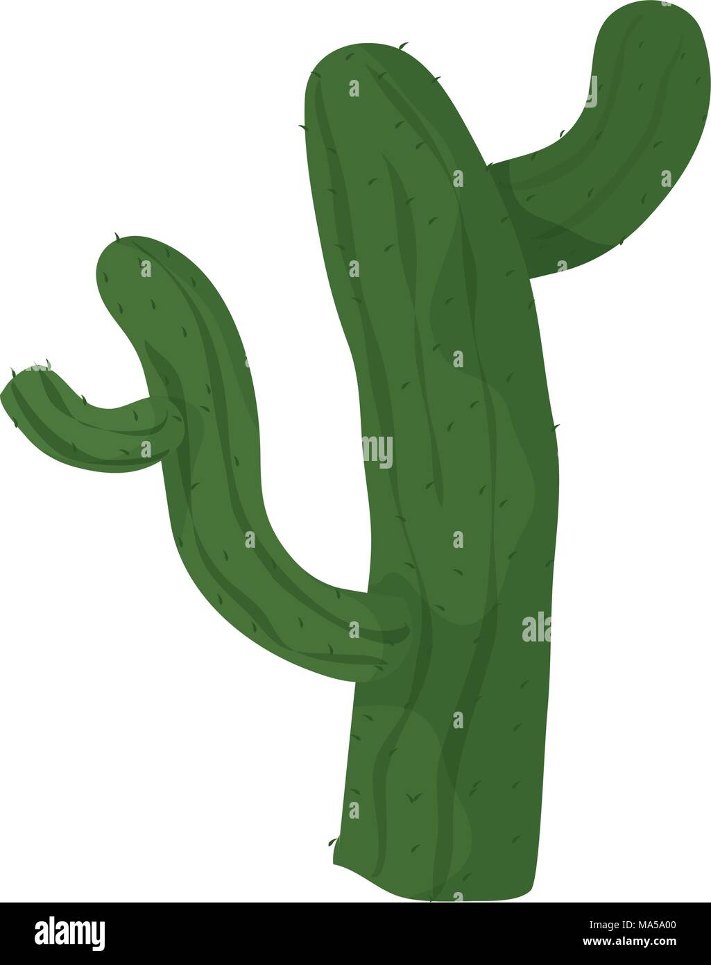 cactus plant nature design in the desert Stock Vector Image & Art - Alamy