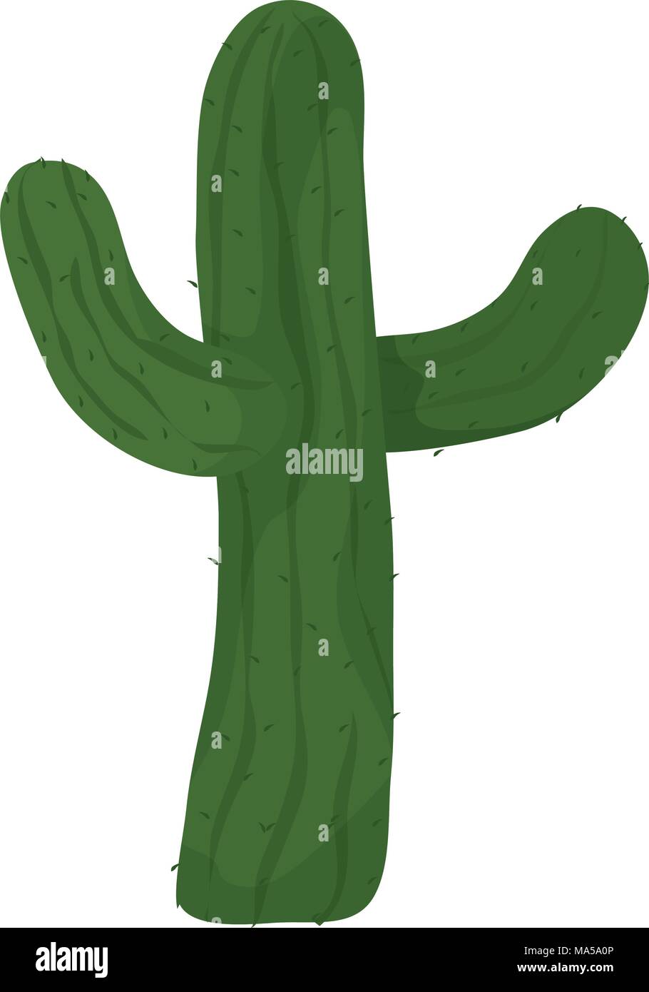 tropical cactus plant nature in the desert Stock Vector Image & Art - Alamy