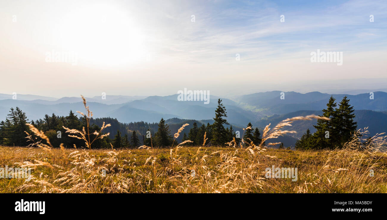 Germany, Baden-Wurttemberg, Black Forest, view from the Belchen (mountain), view point Stock Photo