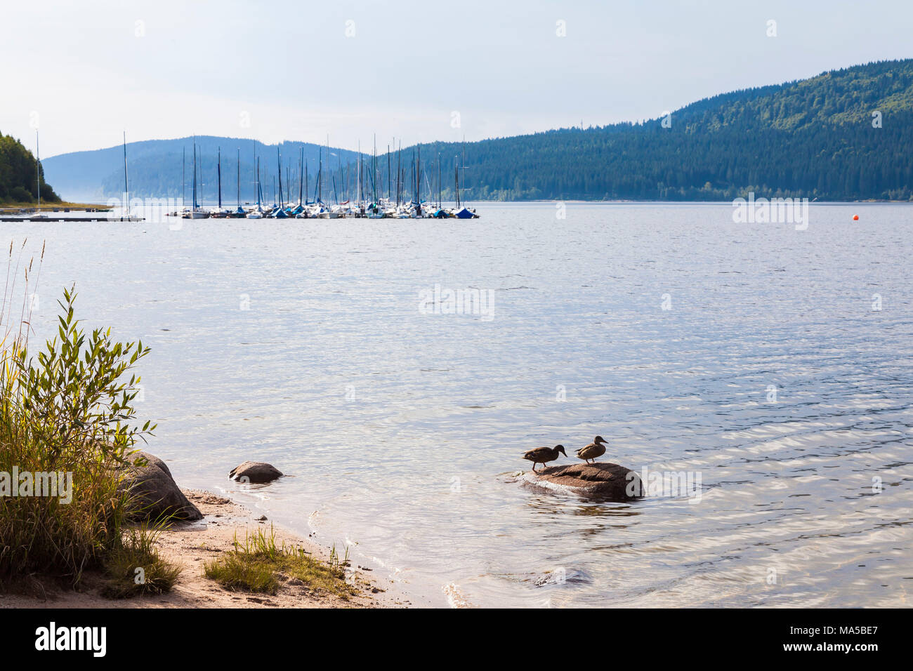 Germany, Baden-Wuerttemberg, Black Forest, Upper Black Forest, Schluchsee, sailboats Stock Photo