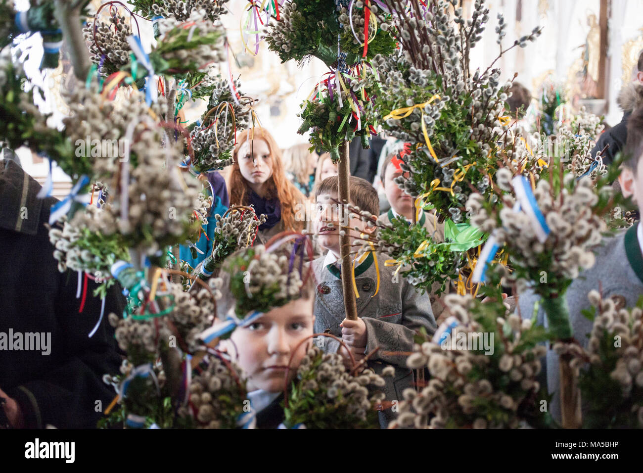 Consecration of catkins hi-res stock photography and images - Alamy