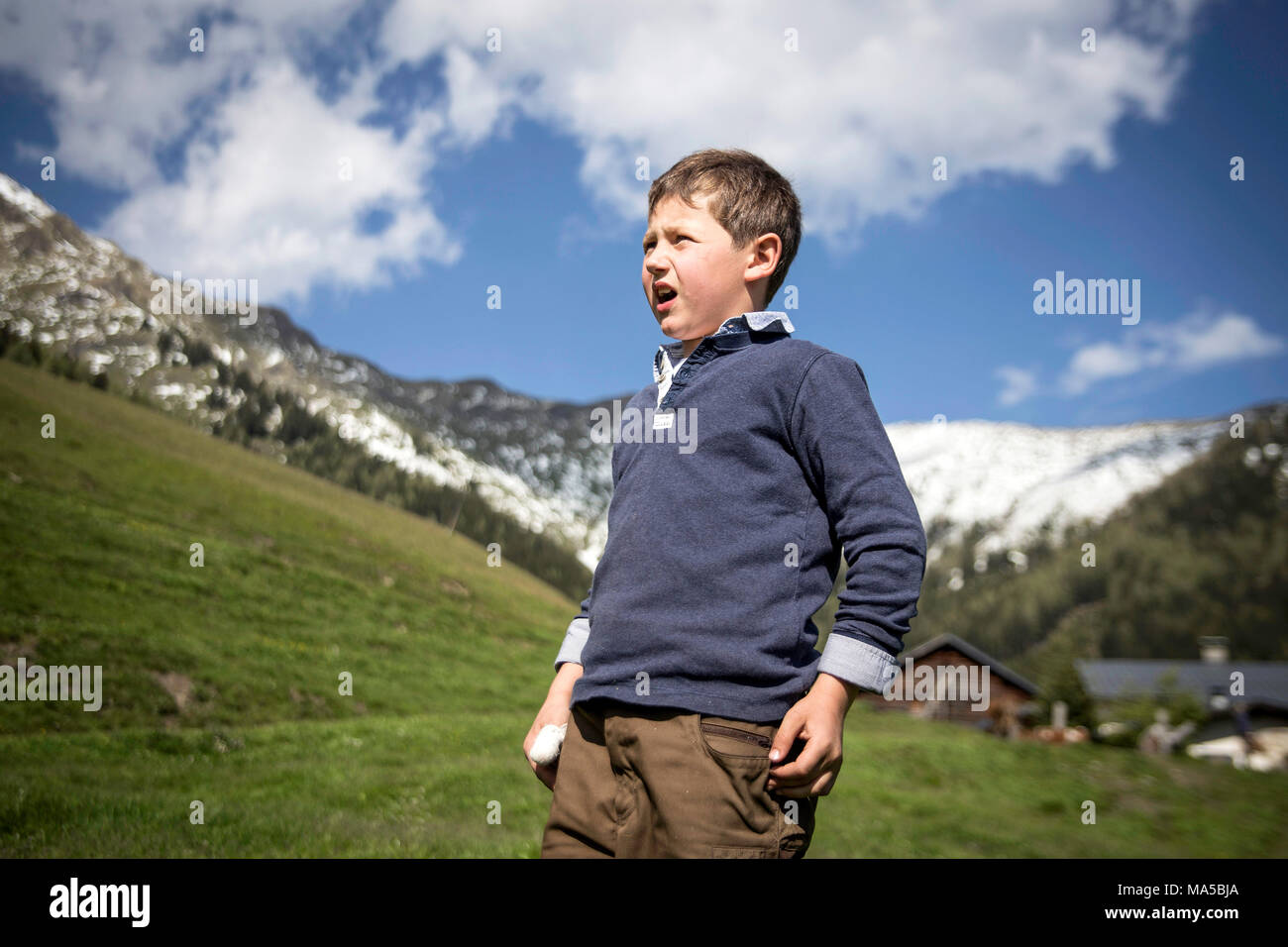 Elias, son of the alpine farmers on the Karalm close Rauris calls the cows for milking Stock Photo