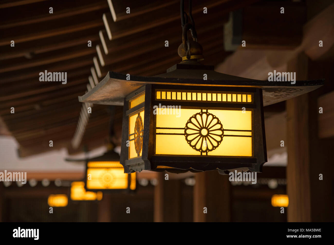 Asia, Japan, Nihon, Nippon, Tokyo, Shibuya, Japan, Nihon, Nippon, Tokyo, Shibuya, Lantern at