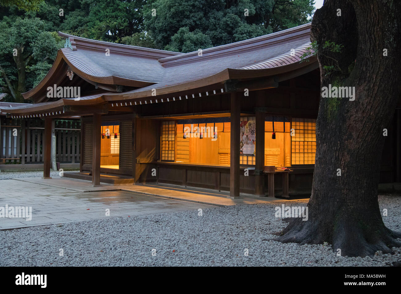 Asia, Japan, Nihon, Nippon, Tokyo, Shibuya, Japan, Nihon, Nippon, Tokyo, Shibuya, Meiji Shrine