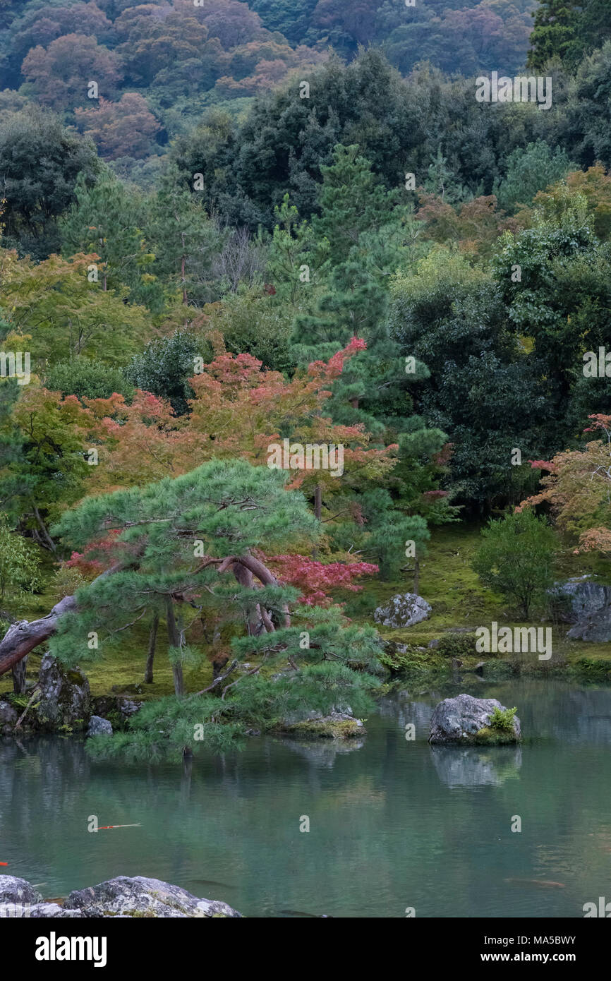 Asia, Japan, Nihon, Nippon, Kyoto, view into countryside Stock Photo