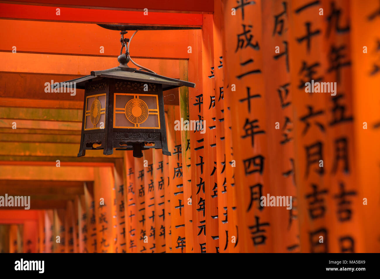 Senbon Torii Fushimi Inari Taisha Shrine Hi Res Stock Photography And Images Alamy