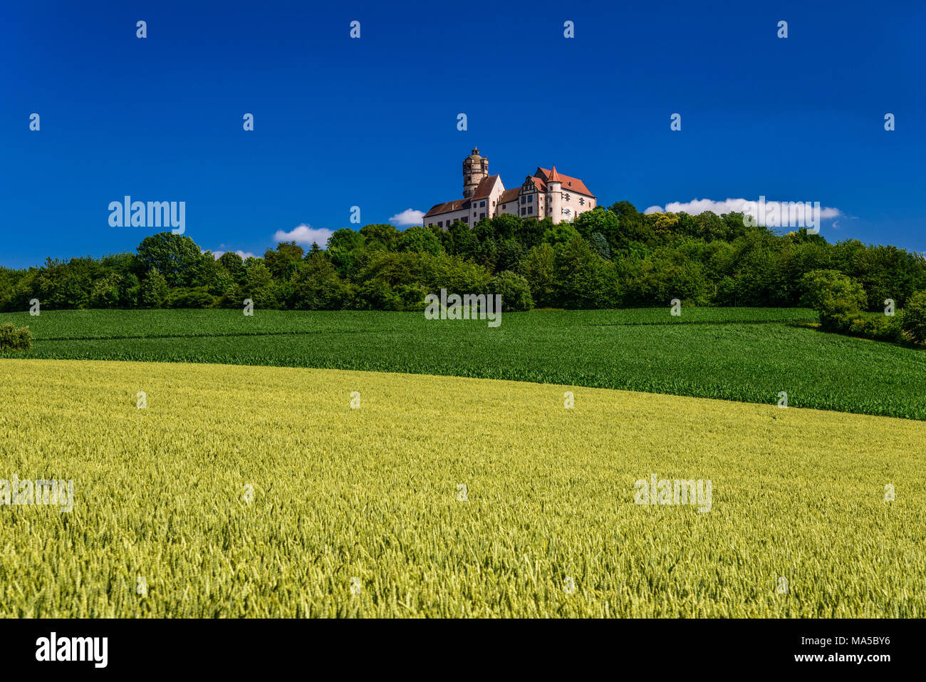 Germany, Hesse, administrative district of Main-Kinzig, Ronneburg, district Altwiedermus, Burg Ronneburg (castle) Stock Photo