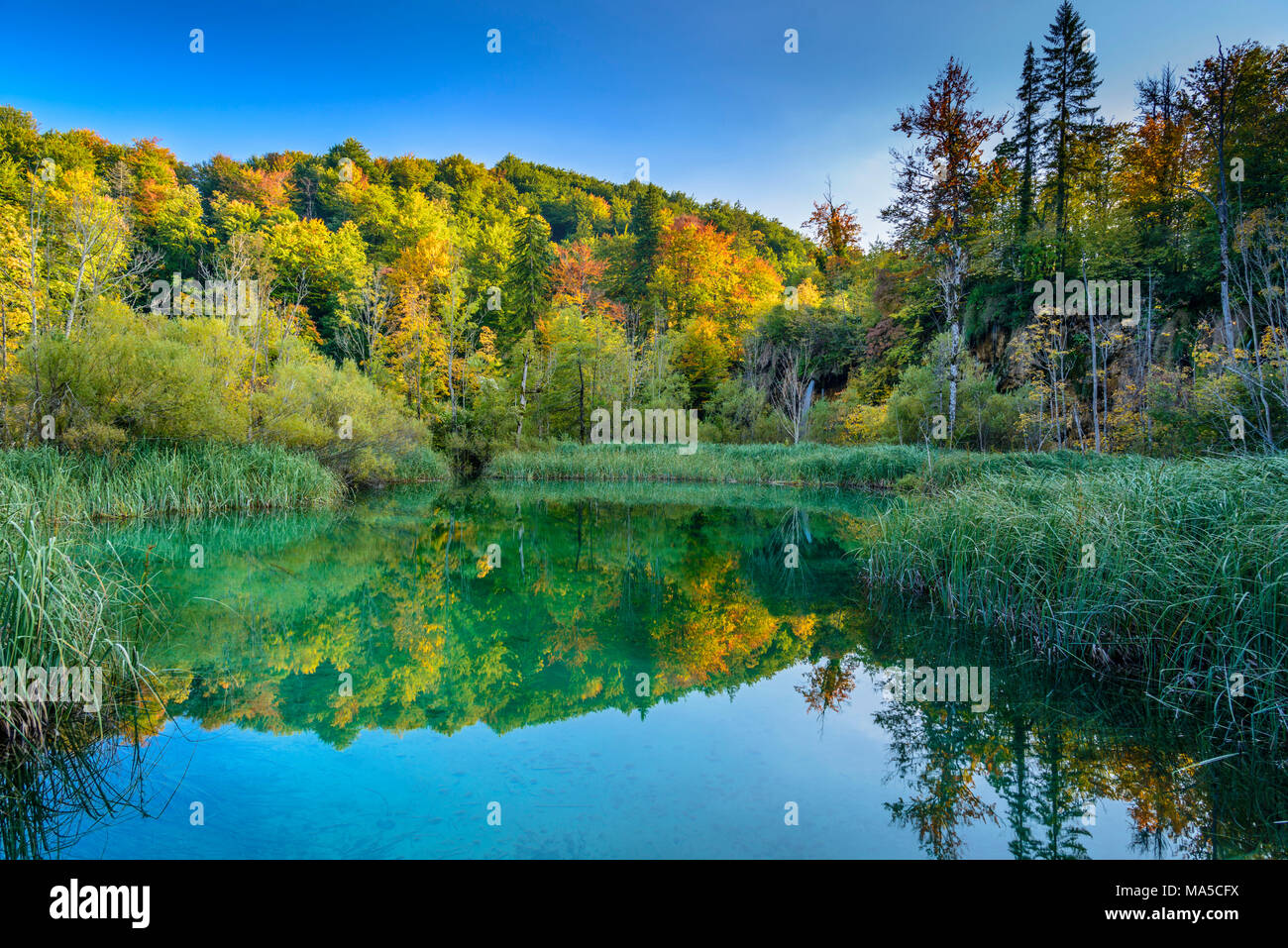 Croatia, Central Croatia, Plitvicka Jezera, Plitvice Lakes National Park, Upper Lakes Stock Photo