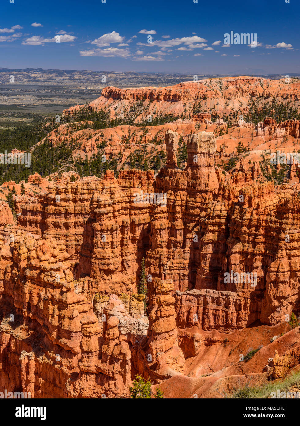 USA, Utah, Garfield County, Bryce Canyon National Park, Amphitheater ...