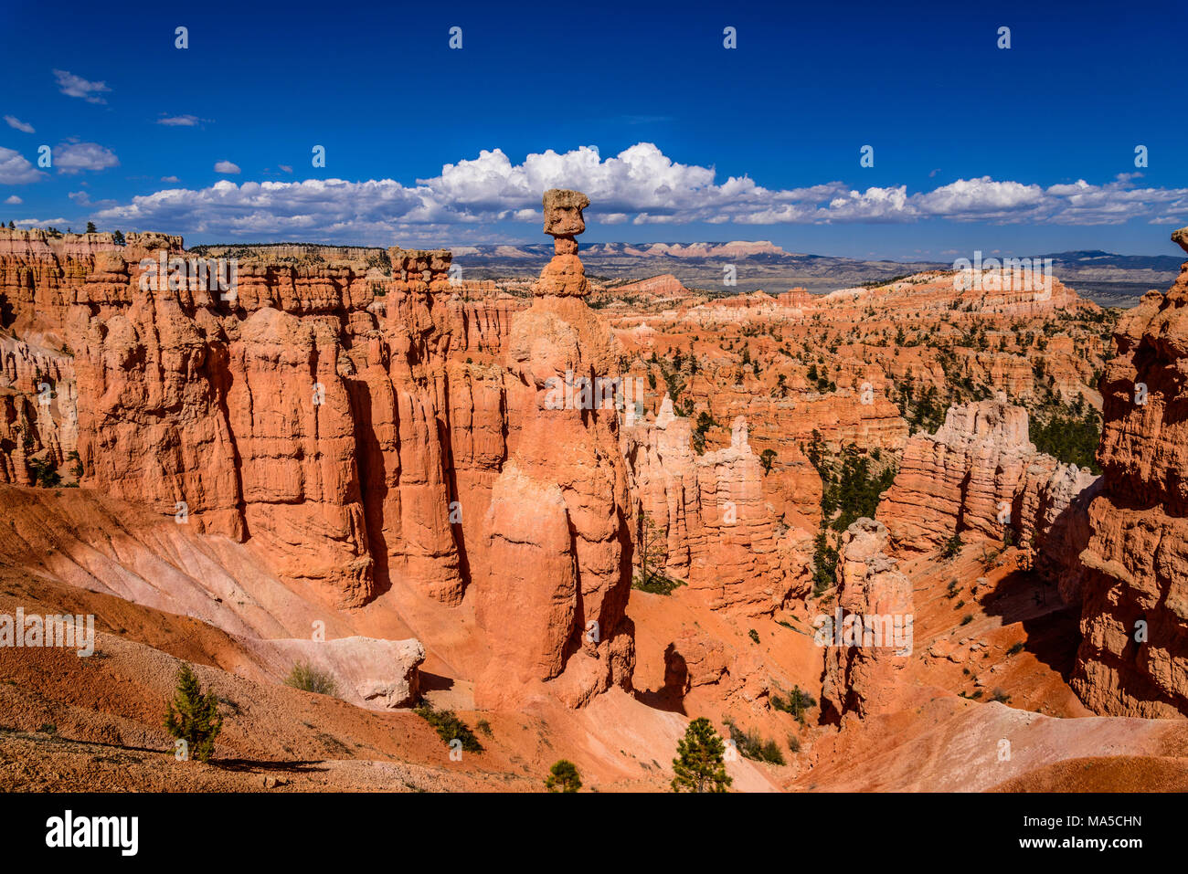 USA, Utah, Garfield County, Bryce Canyon National Park, amphitheater with Thor's Hammer, view from Navajo Loop Trail Stock Photo