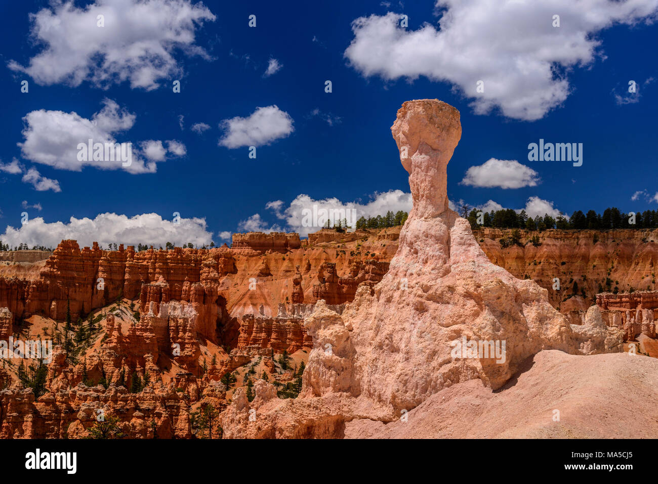 USA, Utah, Garfield County, Bryce Canyon National Park, Amphitheater, Hoodoo on the Queens Garden Trail Stock Photo