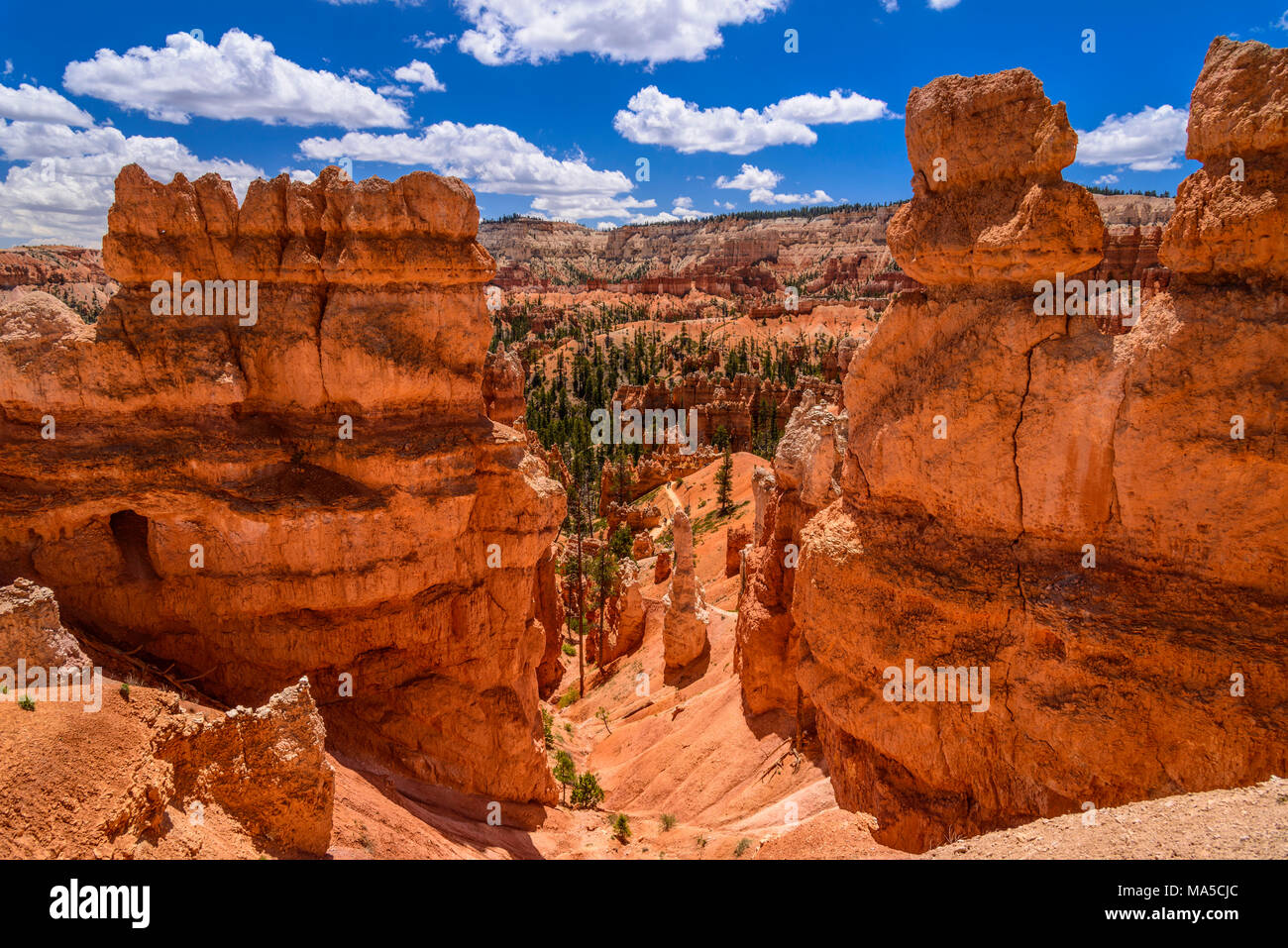 USA, Utah, Garfield County, Bryce Canyon National Park, Amphitheater, Queens Garden, View from the Queens Garden Trail Stock Photo